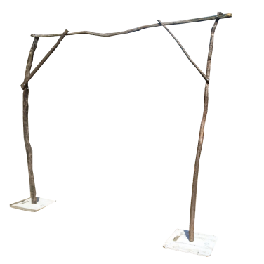 Branch Stick Arch