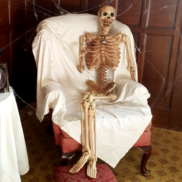 Posable Skeleton