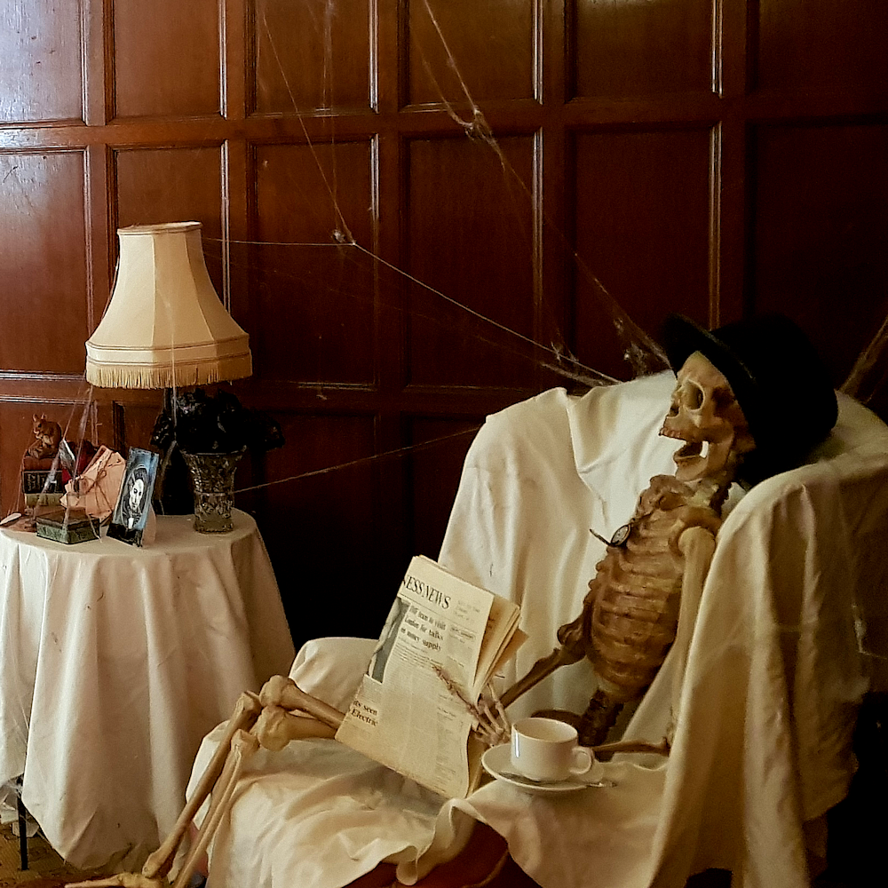 Posable Skeleton
