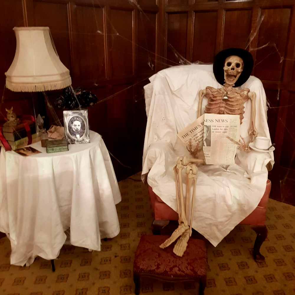 Posable Skeleton
