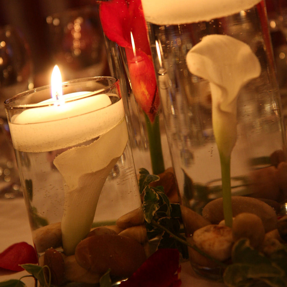 Calla Lilies in Cylinder Vases