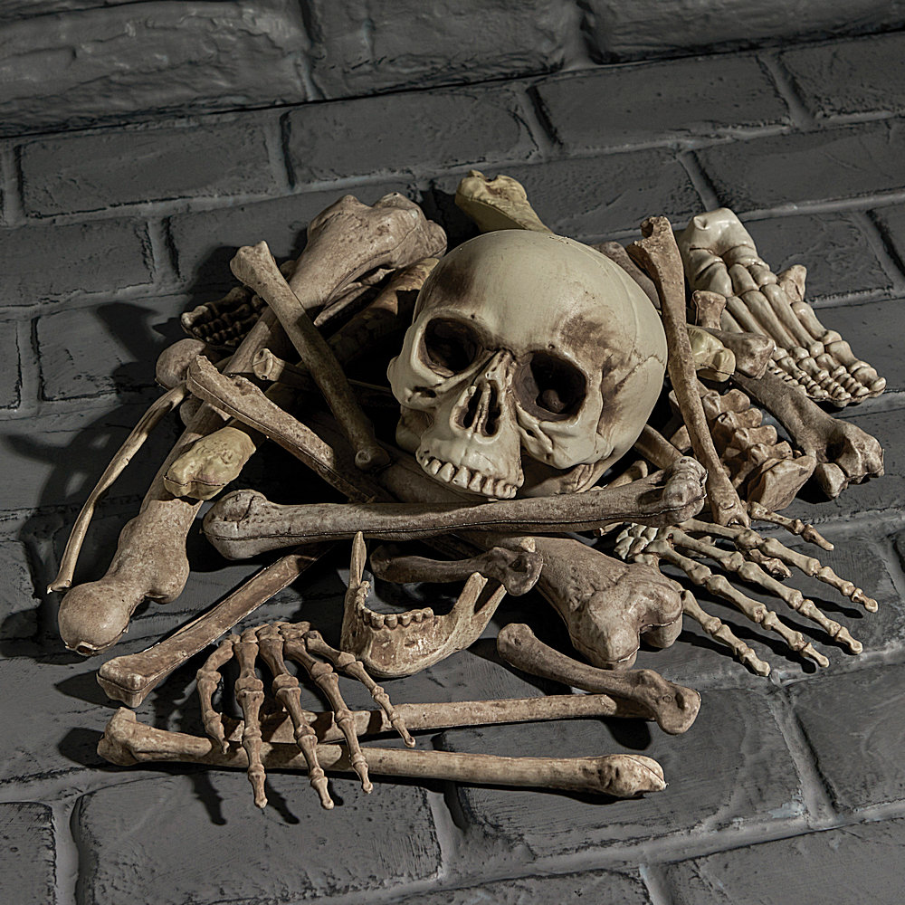 Display Ideas for Loose Bones