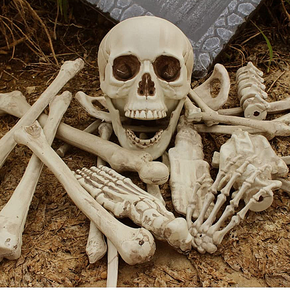 Display Ideas for Loose Bones