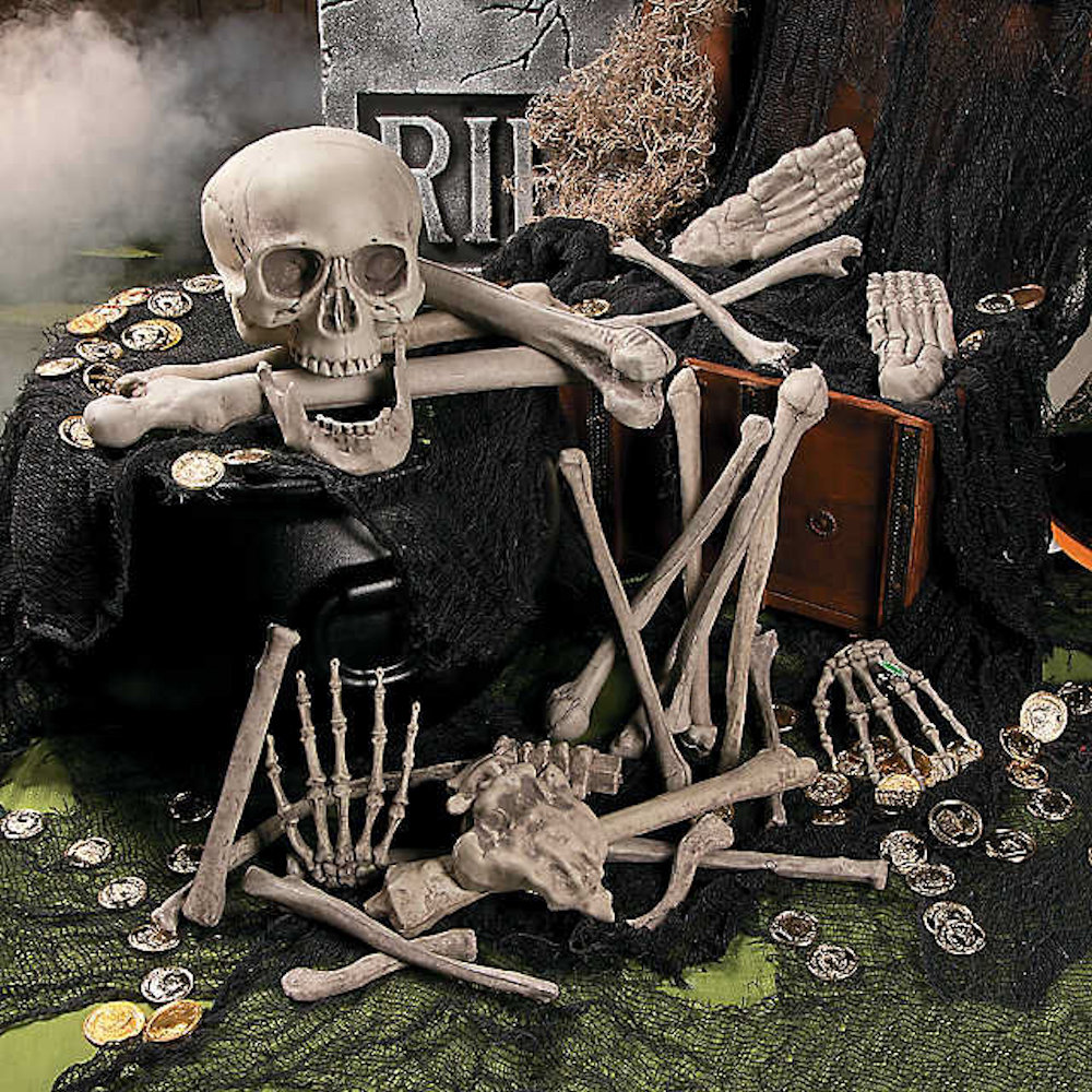 Display Ideas for Loose Bones