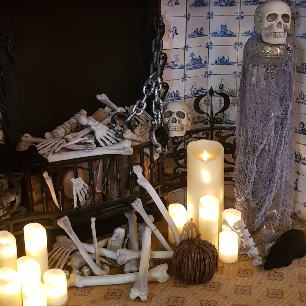 Display Ideas for Loose Bones
