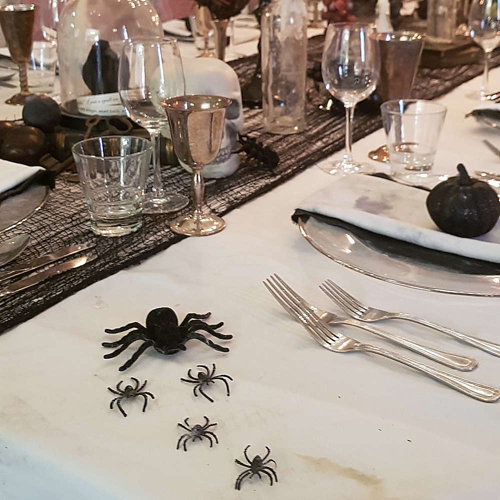 Spider Hire - Image 12