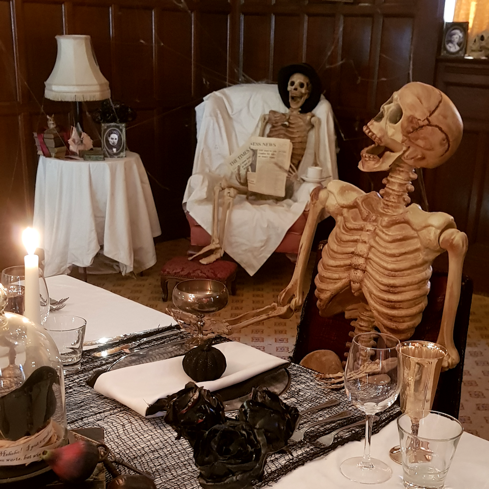 Posable Skeleton