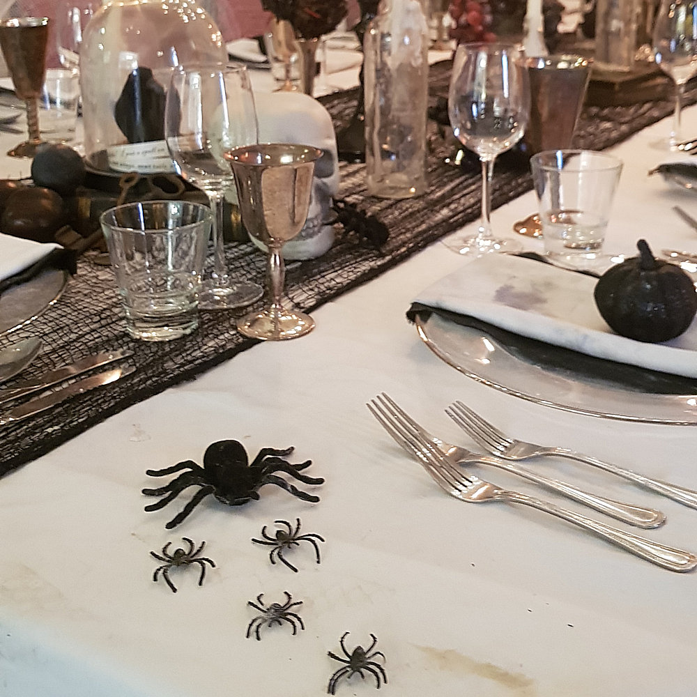 Spider Hire - Image 14