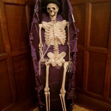Skeleton in Coffin