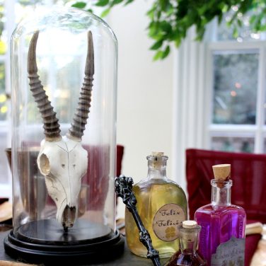 Antelope Skull in Bell Jar