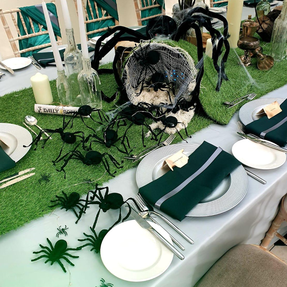 Spider Hire - Image 10