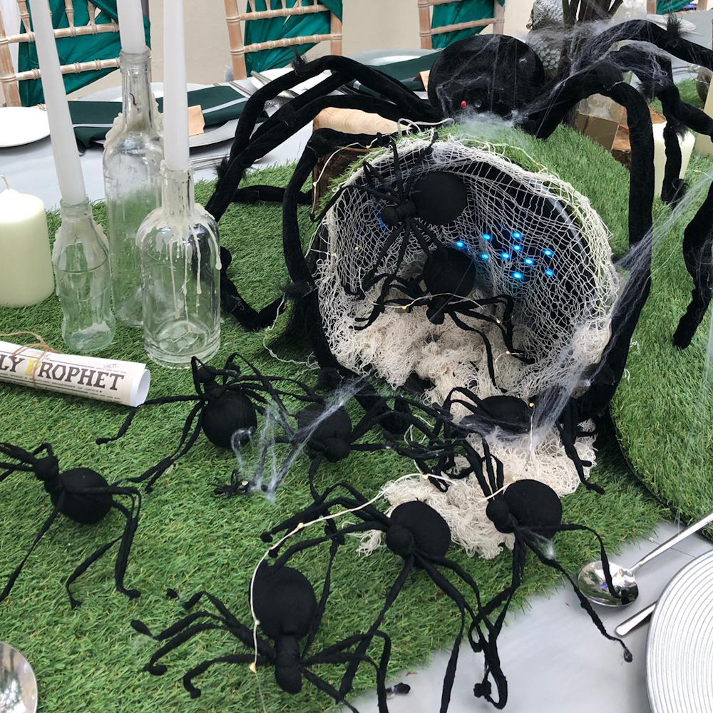 Spider Hire - Image 9
