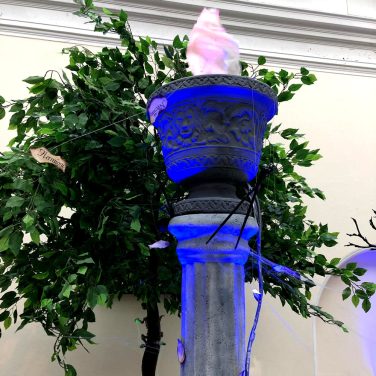 Harry Potter slytherin theme party with goblet of fire