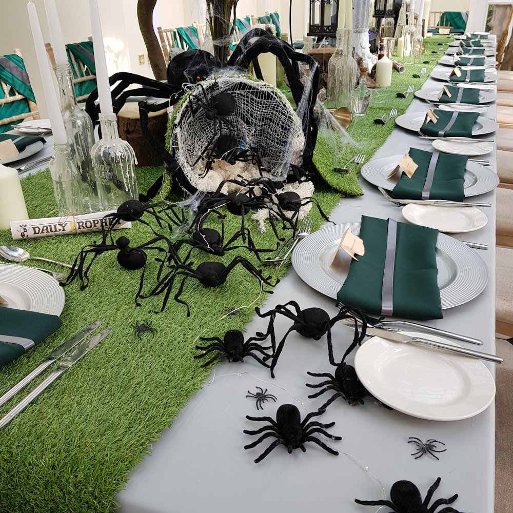 Spider Hire - Image 11