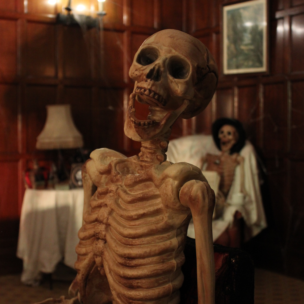 Posable Skeleton