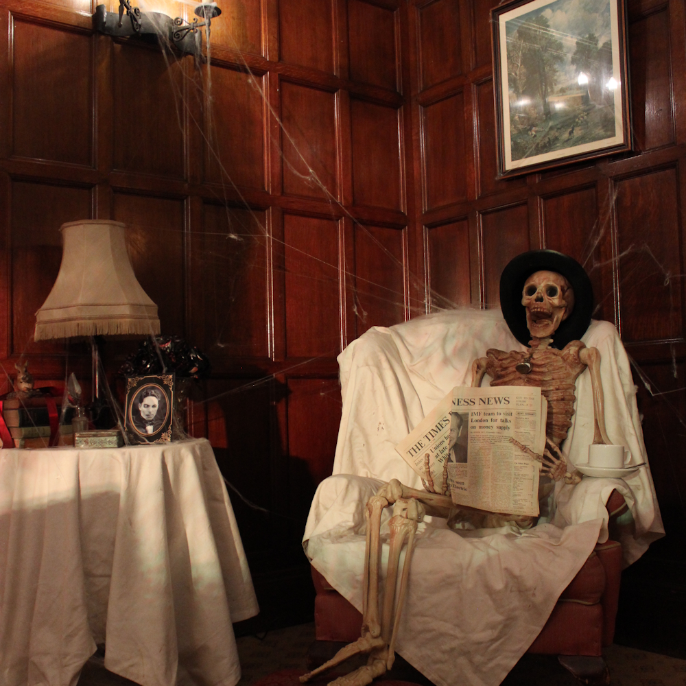 Posable Skeleton