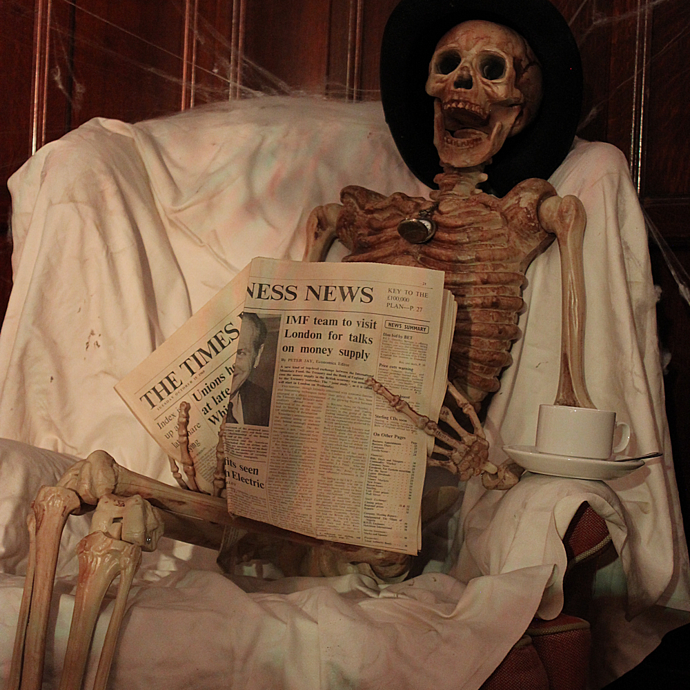 Posable Skeleton