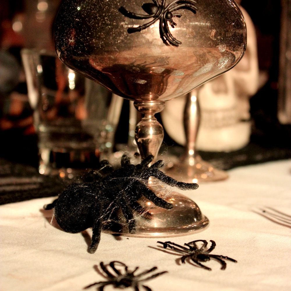 Spider Hire - Image 2