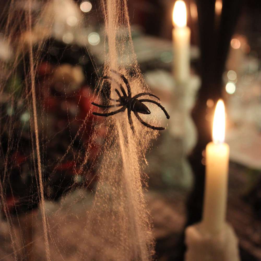 Spider Hire - Image 5
