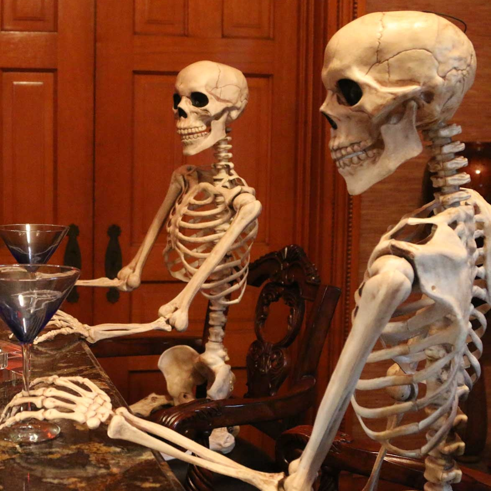 Posable Skeleton