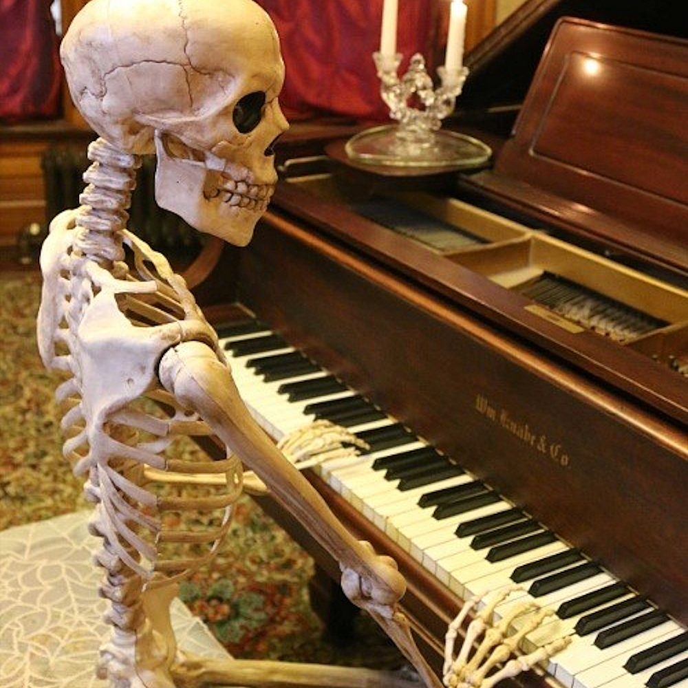 Posable Skeleton