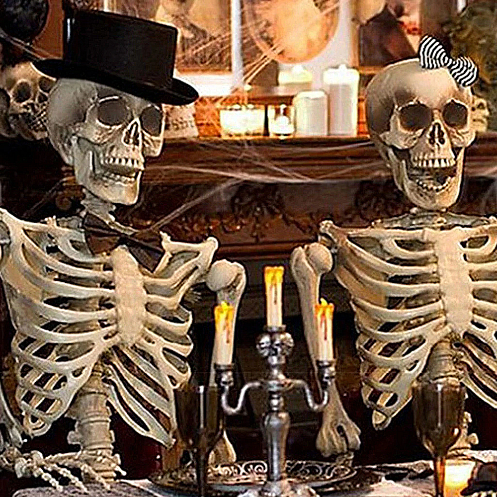 Posable Skeleton