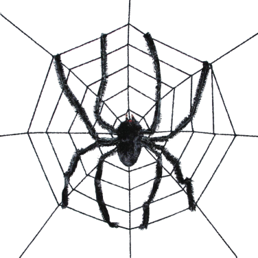 Giant Spider and web