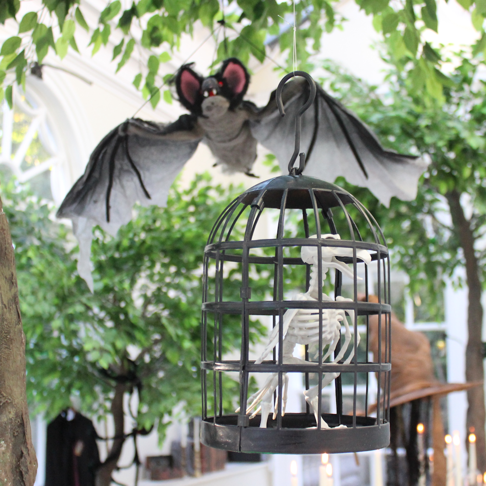 Large Vampire Bat