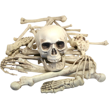 Loose Plastic Bones Hire Pack of 12