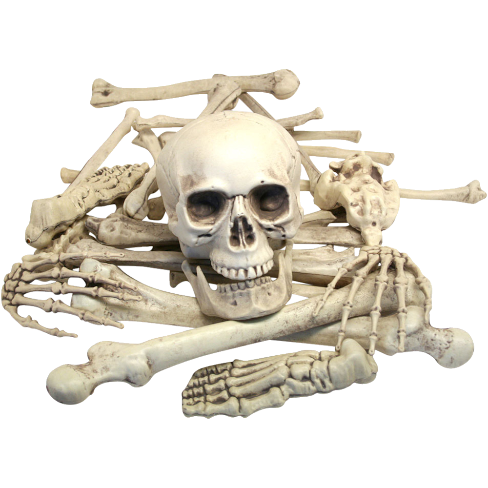 Loose Plastic Bones Hire Pack of 12