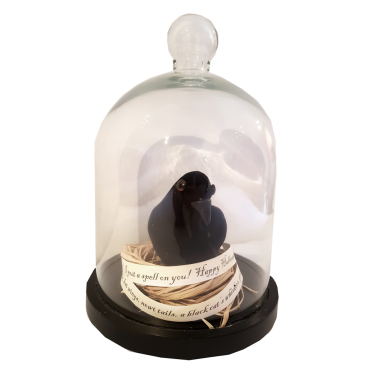Raven in Bell Jar