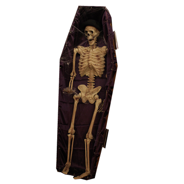 Skeleton in Coffin "Fred"