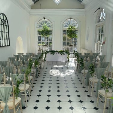 2m Birch tree Hire