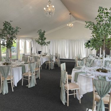 2m Birch tree Hire