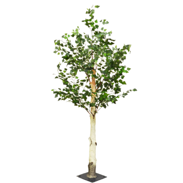 Silver Birch Tree Centrepiece