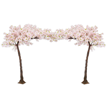 Canopy Arch Blossom Tree Pink