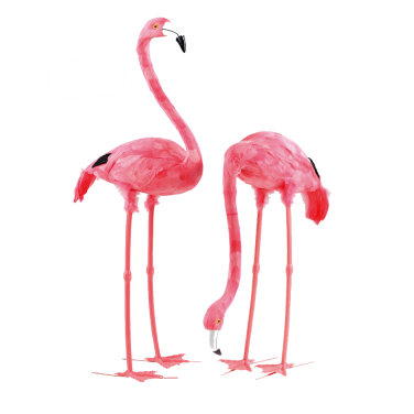 Flamingo Pair Prop Hire