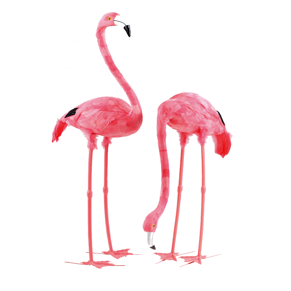 Flamingo Pair Prop Hire
