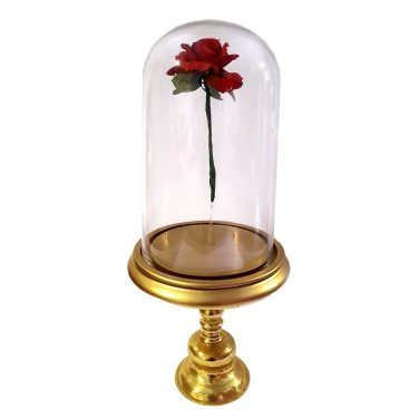 Floating Rose in Bell Jar