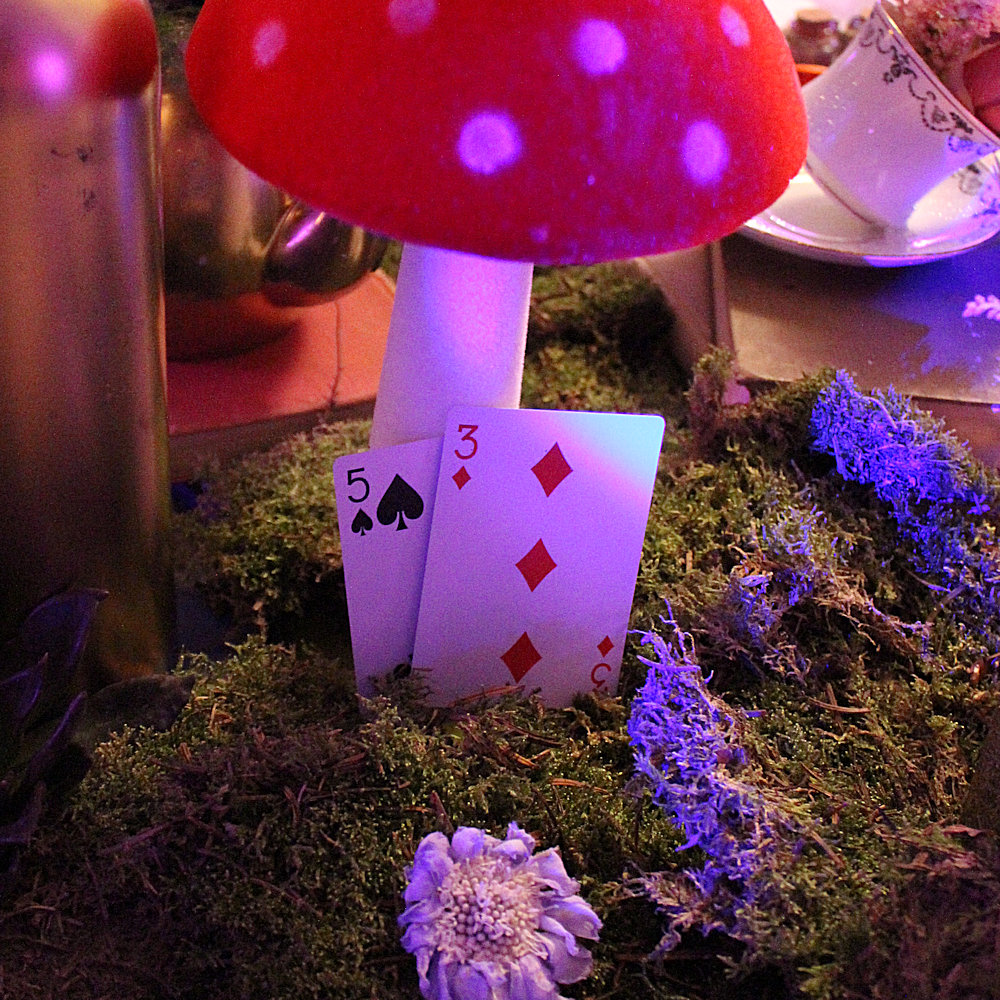 Playing Cards Hire - Image 13