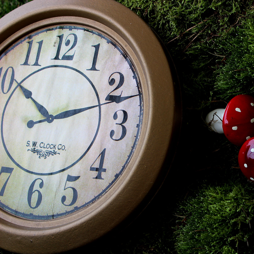 Giant Clock Pocket watch alice in wonderland steam punk