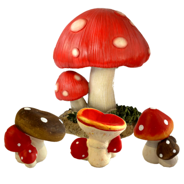 Small Toadstools Hire
