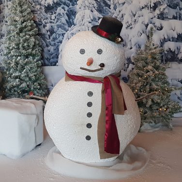 WInter Backdrop & Snowman