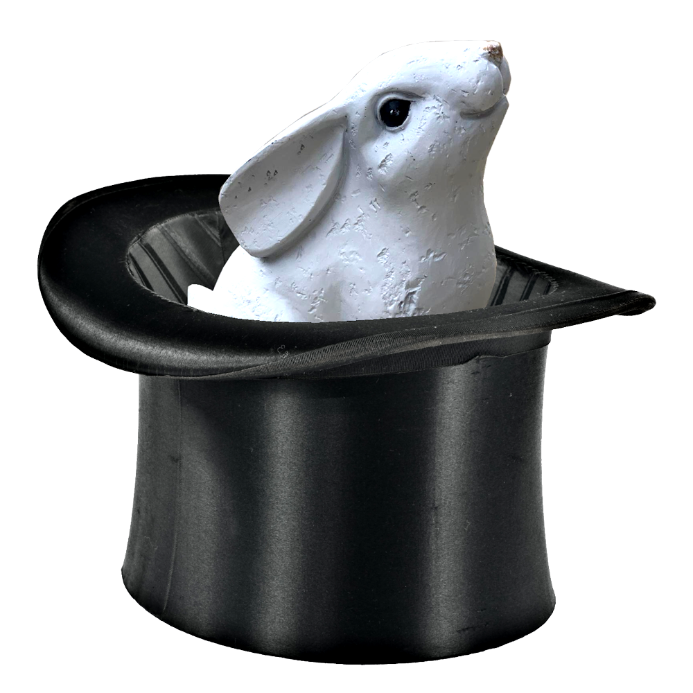 White Rabbit in Black Top Hat