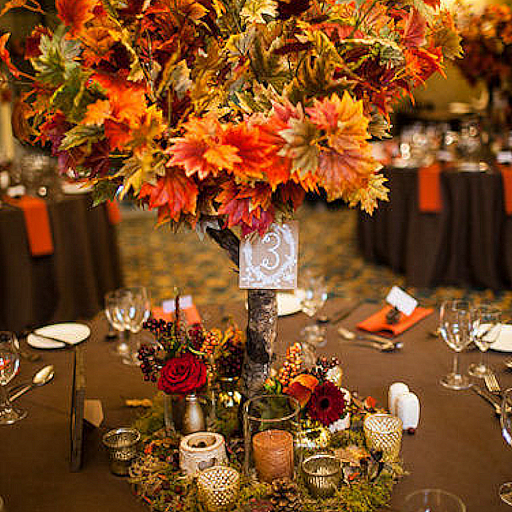 The Autumnal Package - Image 15