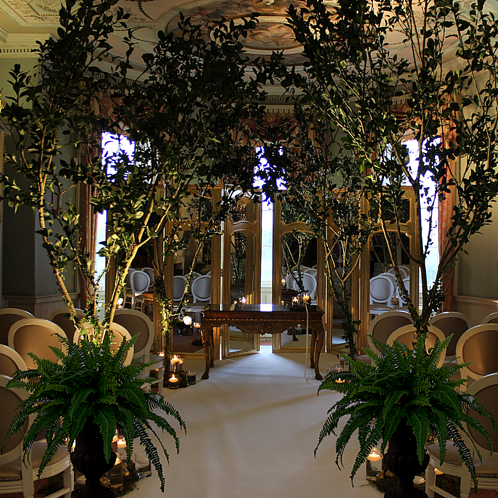 Brocket Trees White Carpet Ferns in Urns
