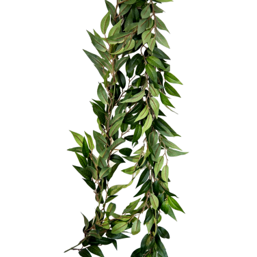 Ruscus Ruschus Greenery Foliage Garland Hire