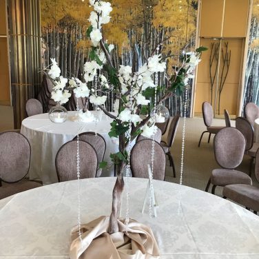 Manzanita Tree with blossom and ivy