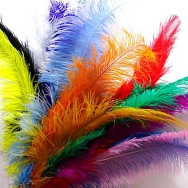 Loose Ostrich Feathers 10pk