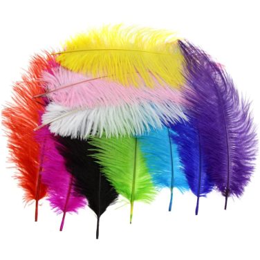 Loose Ostrich Feathers 10pk